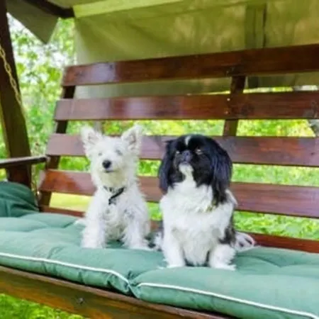 Apartament Poppelstrand, Hundefreundliches In Der Finnischen Natur - A45019