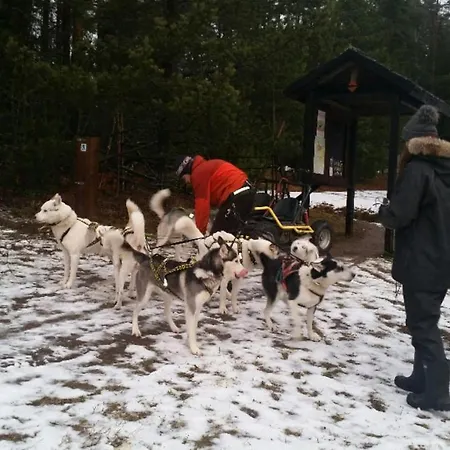 Apartament Poppelstrand, Hundefreundliches In Der Finnischen Natur - A45019 Espoo